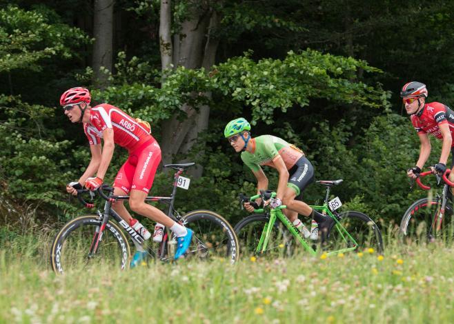 Dennis Paulus (AUT, Hrinkow Advarics Cycleang Team) Rad Staatsmeisterschaft, Elite Herren, Grein an der Donau