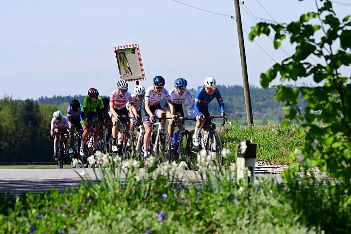 Damen Elite, U23, Road Cycling League Austria, 63. Raika Kirschbluetenrennen, Wels, Oberösterreich