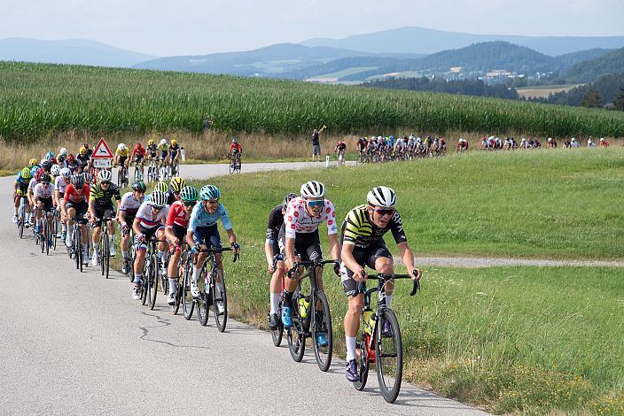 Das Feld am Weg zur Bergwertung Haselbach, im Bergtrikot Artem Shmidt (USA, Cannibal Team) , , Rohrbach - Rohrbach, Int. "Keine Sorgen" Junioren Rundfahrt UCI Kat. 2.1 MJ