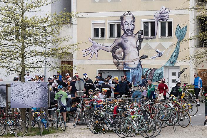 7. Kirschblüten Radklassik, Rad Klassik, Oldtimer, Vintage, Stahlrad, Radsport, Eferding, Oberösterreich