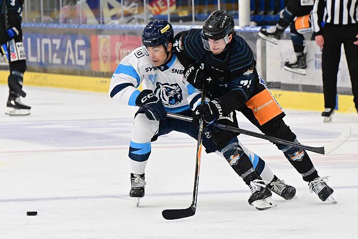 Tim Geifes (Steinbach Black Wings Linz)  Steinbach Black Wings Linz vs Bili Tygri Liberec (CZE) , Linz AG Eisarena 