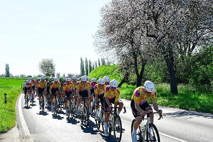 Herren Elite, U23, Road Cycling League Austria, 64. Raika Kirschbluetenrennen, Wels, Oberösterreich