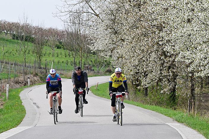 10. Kirschblüten Radklassik, Rad Klassik, Oldtimer, Vintage, Stahlrad, Radsport, Eferding, Oberösterreich