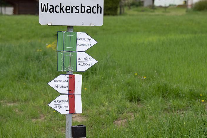 7. Kirschblüten Radklassik, Rad Klassik, Oldtimer, Vintage, Stahlrad, Radsport, Eferding, Oberösterreich