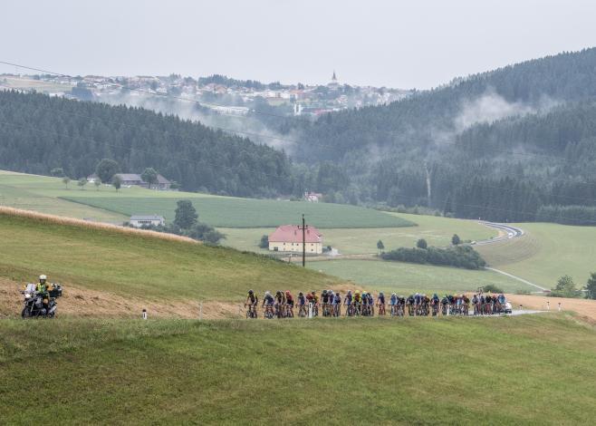 Das Feld am Weg nach Oberneukirchen 2. Etappe Bad Leonfelden