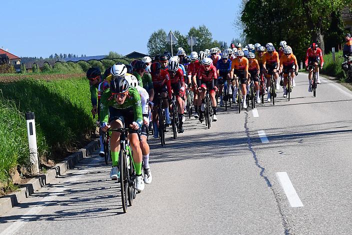Herren Elite, U23, Road Cycling League Austria, 63. Raika Kirschbluetenrennen, Wels, Oberösterreich