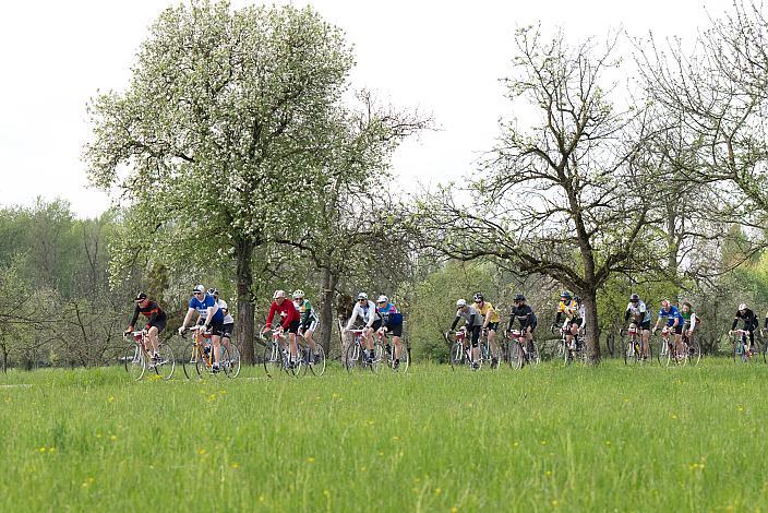7. Kirschblüten Radklassik, Rad Klassik, Oldtimer, Vintage, Stahlrad, Radsport, Eferding, Oberösterreich