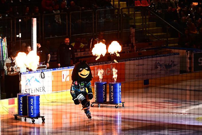 Das Steinbach Blackwings Linz Maskottchen Gonzo Steinbach Black Wings Linz vs EC Red Bull Salzburg, Playoffs, 4. Viertelfinale, Linz AG Eisarena 