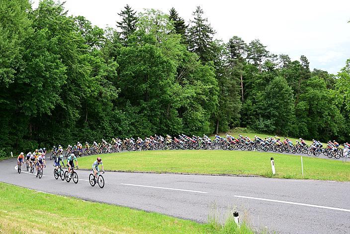 Das Peloton unterwegs im Innviertel, 2. Etappe Eferding - Reichersberg, Oberösterreich Rundfahrt