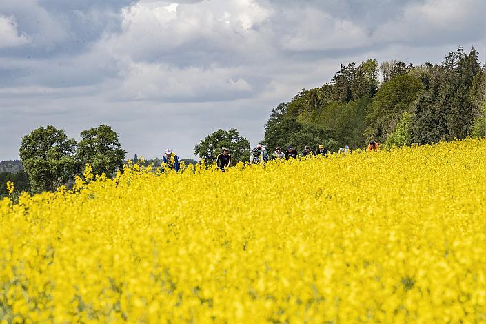 das Feld der Fahrer bei Waizenkirchen

