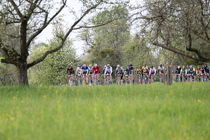 7. Kirschblüten Radklassik, Rad Klassik, Oldtimer, Vintage, Stahlrad, Radsport, Eferding, Oberösterreich
