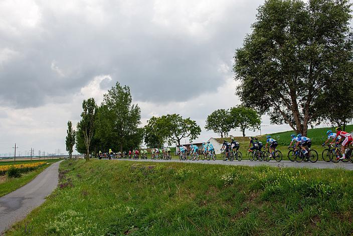 8. Etappe Podersdorf, Burgenland - Wien