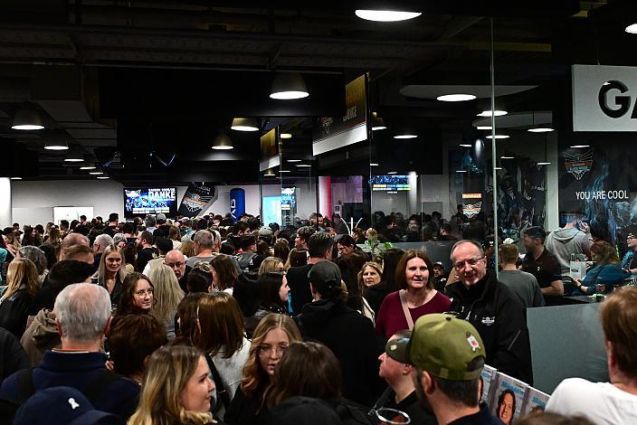 Steinbach Black Wings Linz , VIP Bereich, Linz AG Eisarena 
