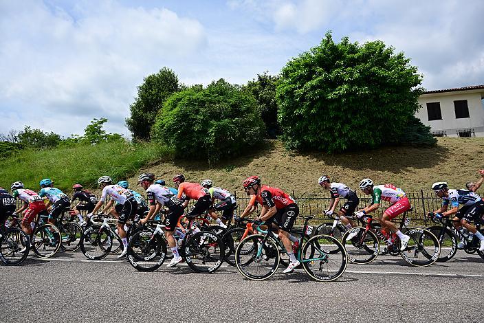 das Feld des Giro in der Prosecco Region, 108. Giro d Italia, Stage 14, Fiume Veneto - Asiago (219km)