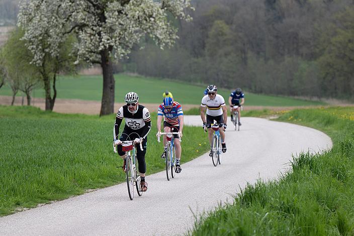 7. Kirschblüten Radklassik, Rad Klassik, Oldtimer, Vintage, Stahlrad, Radsport, Eferding, Oberösterreich