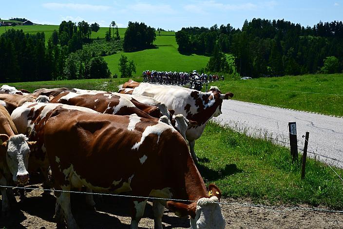 3. Etappe Bad Schallerbach - Aigen - Schlägl, 15. Int. Raiffeisen OÖ-Radrundfahrt UCI Kat. 2.2