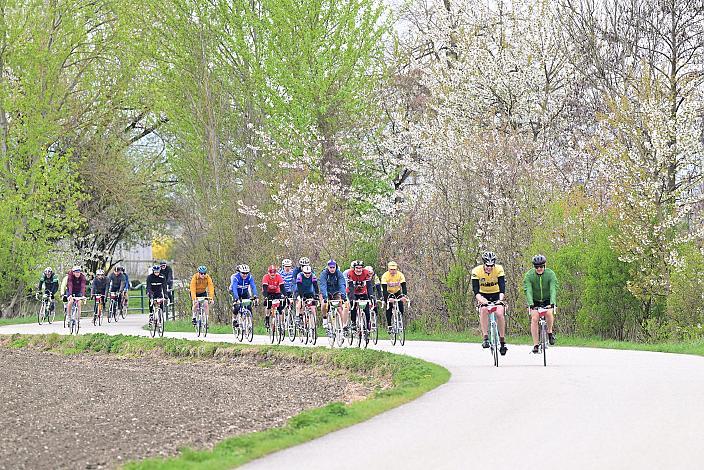 10. Kirschblüten Radklassik, Rad Klassik, Oldtimer, Vintage, Stahlrad, Radsport, Eferding, Oberösterreich
