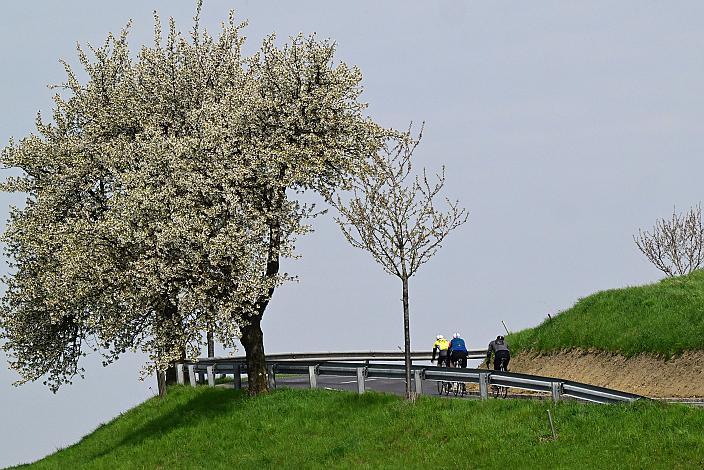 10. Kirschblüten Radklassik, Rad Klassik, Oldtimer, Vintage, Stahlrad, Radsport, Eferding, Oberösterreich