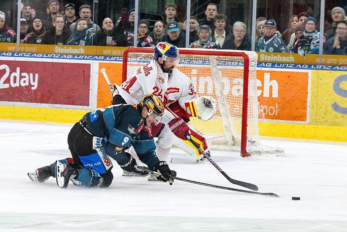 Emilio Romig (Steinbach Black Wings Linz), Ryan Murphy (EC Red Bull Salzburg) Steinbach Black Wings Linz vs EC Red Bull Salzburg, Linz AG Eisarena 
