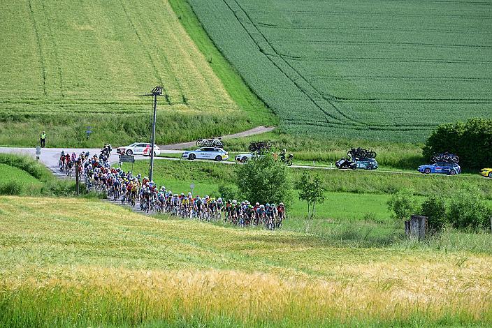 Das Peloton unterwegs im Traunviertel  3. Etappe Asten - Bad Schallerbach, Oberösterreich Rundfahrt