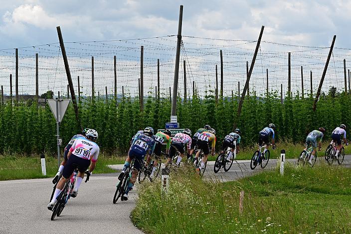 die Ausreisser mit Viktor Soenens (BEL, Soudal - Quickstep Devo Team), Richard Riska (SVK, Hrinkow Advarics), Emanuel Zangerle (AUT, Team Vorarlberg), Milan Kadlec (CZE, Team Elkov Crypto4me), Otto van Zanden (NED, Azerion  - Villa Valkenburg), Manuel Oioli (ITA, Swatt Club, 4. Etappe Aigen - Schlägl - Aigen - Schlägl, Oberösterreich Rundfahrt