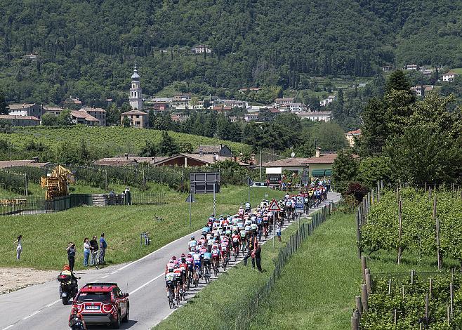 das Feld  mit Richard Carapaz (ECU, Movistar Team) in Valdobbadene, Giro, Giro d Italia, Radsport, 102. Giro d Italia - 19. Etappe