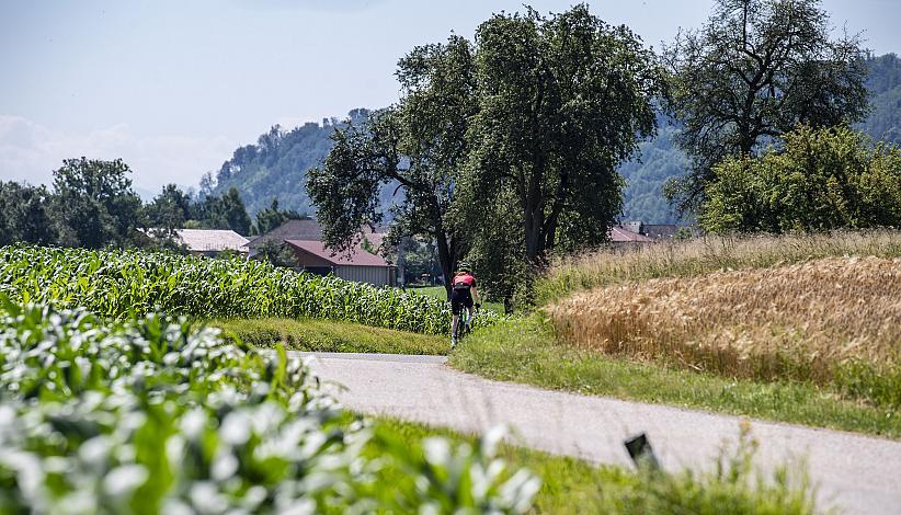 Rennrad in Oberösterreich, Assos, Hrinkow Rennrad