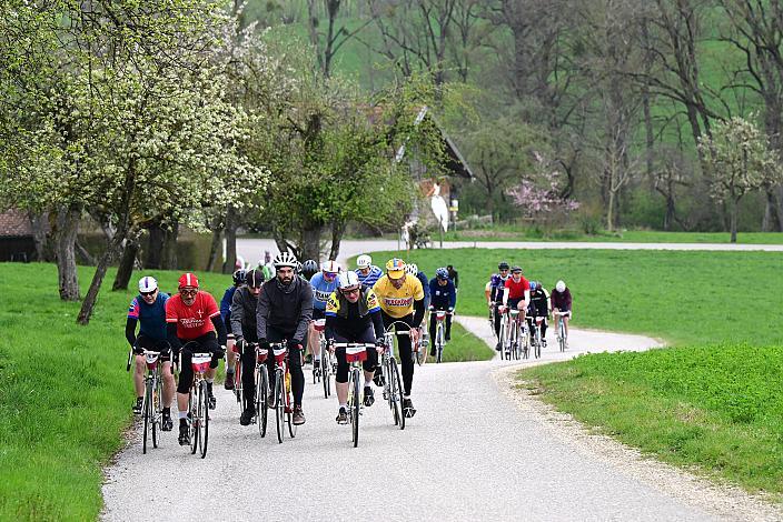 10. Kirschblüten Radklassik, Rad Klassik, Oldtimer, Vintage, Stahlrad, Radsport, Eferding, Oberösterreich