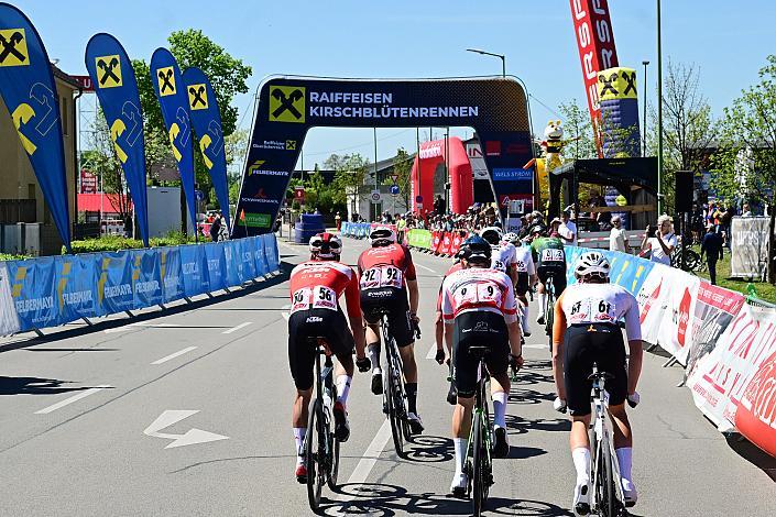 Herren Elite, U23, Road Cycling League Austria, 64. Raika Kirschbluetenrennen, Wels, Oberösterreich
