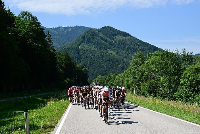Das Peloton unterwegs in der Region Ybbstal, bei Hollenstein an der Ybbs, Drei Länder Meisterschaft U23,  Austria