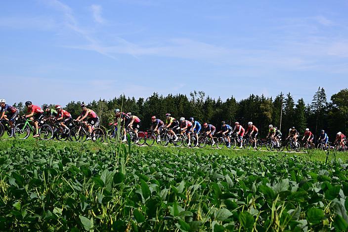 Road Cycling League Ranshofen, OÖ