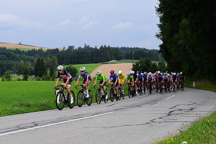 Im Gelben Trikot des Gesamtführenden Jasper Verbrugge (BEL, Acrog-Tormans), 50. OÖ Junioren Rundfahrt, 2. Etappe Sarleinsbach - Sarleinsbach