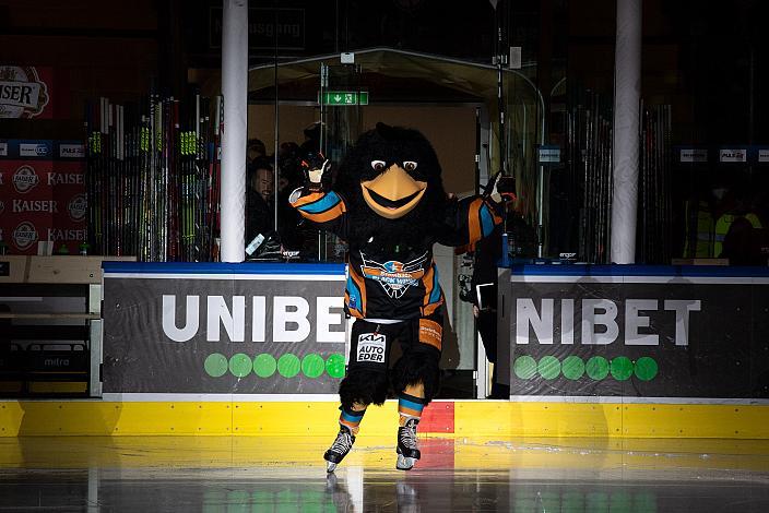 Das Steinbach Blackwings Linz Maskottchen Gonzo Junior Steinbach Black Wings Linz vs HK SZ OLIMPIJA, bet-at-home ICE Hockey League