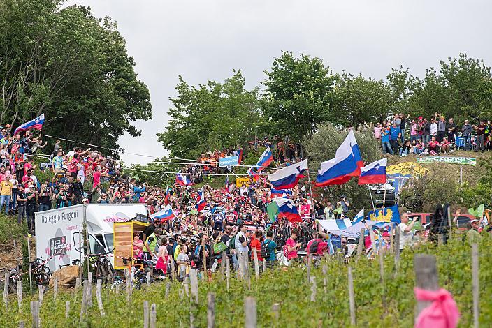 Das Feld am Weg zur Bergwertung Gornje Cerovo in Slowenien Stage 15 Grado - Gorizia (147km), 104. Giro d Italia, UCI Worl Tour