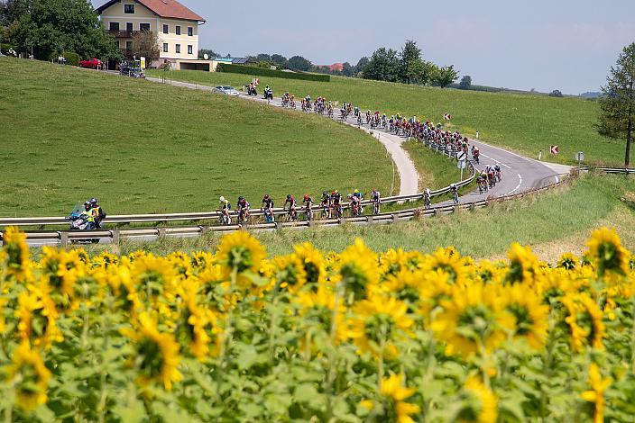  Bad Wimsbach - Strass im Attergau, Int. "Keine Sorgen" Junioren Rundfahrt UCI Kat. 2.1 MJ